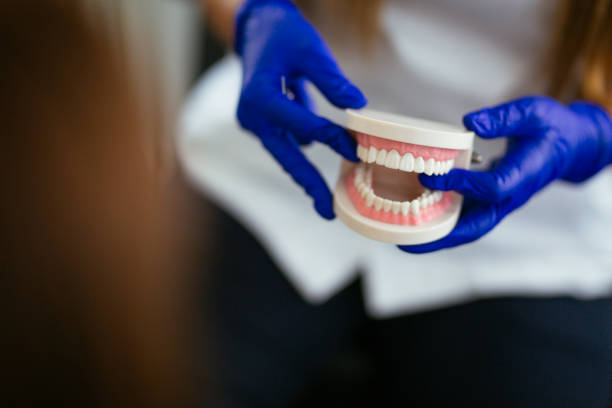 Best Preventive Dentistry  in Apple Creek, OH